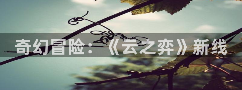 行业资讯