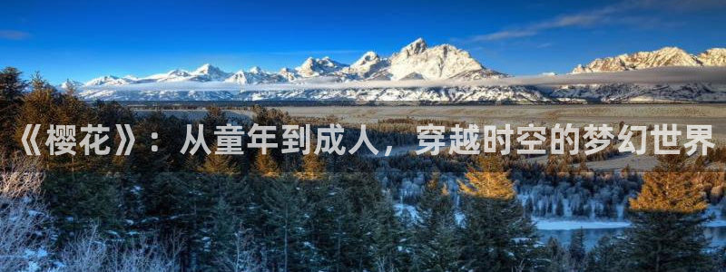 行业资讯
